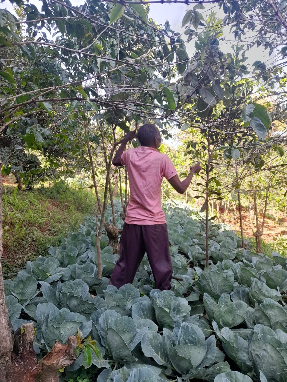 Embu County