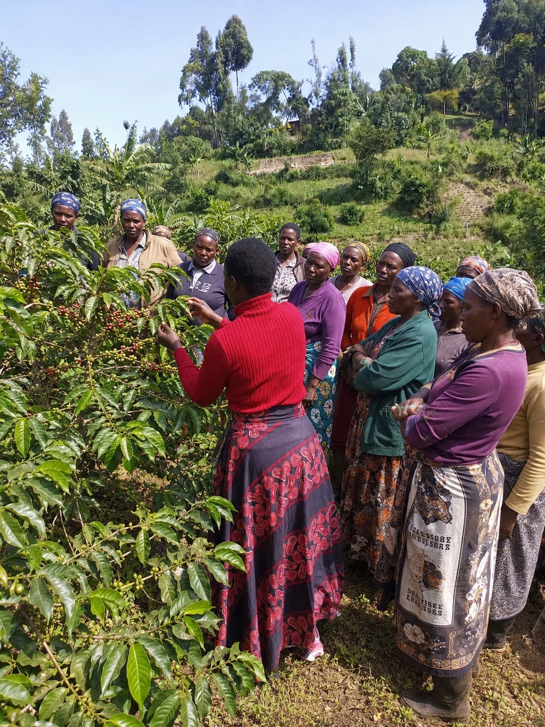 Livelihood Lab Africa working with women farmers in Nandi County