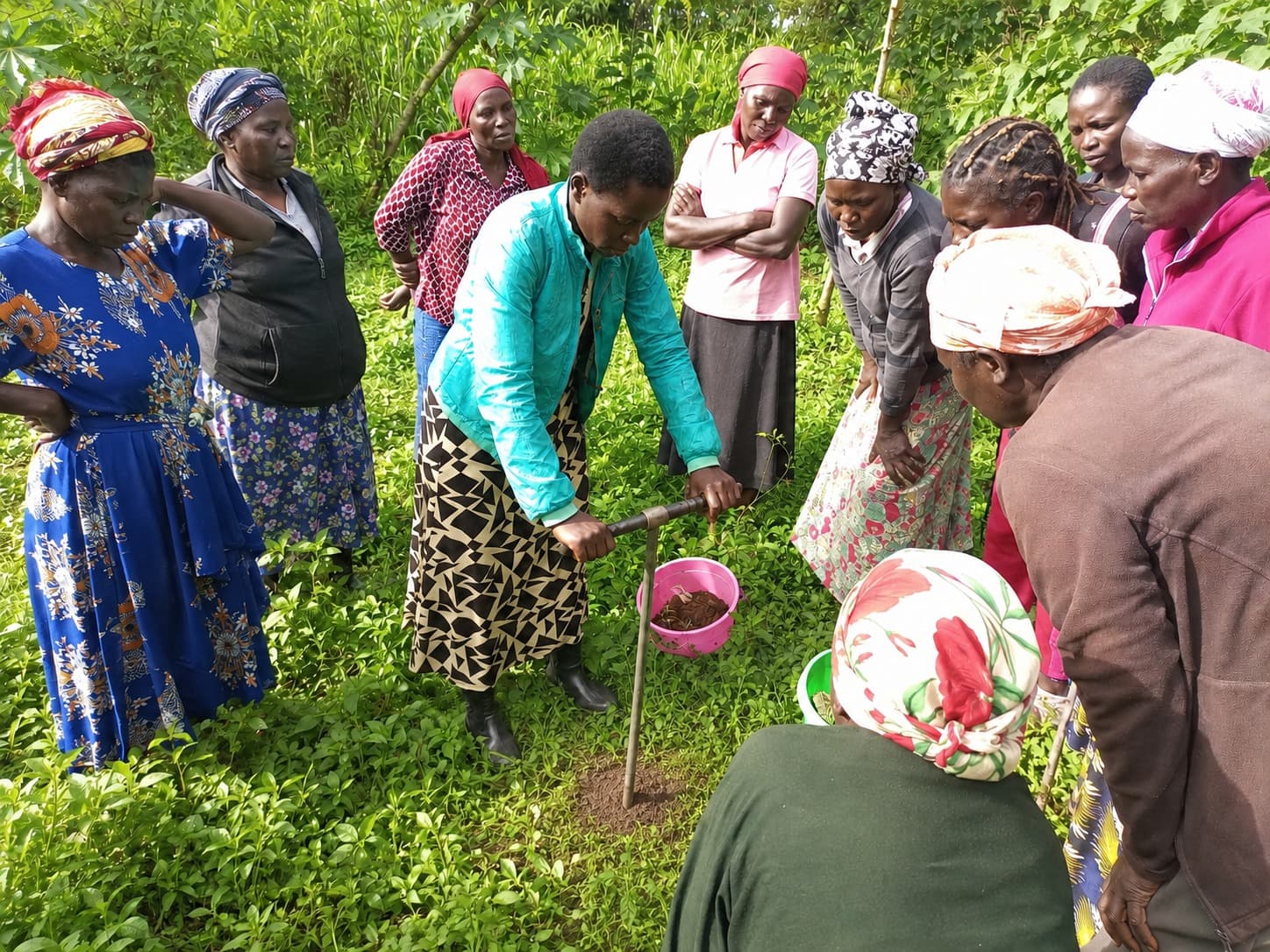Livelihood Lab Africa empowering women farmers through field training