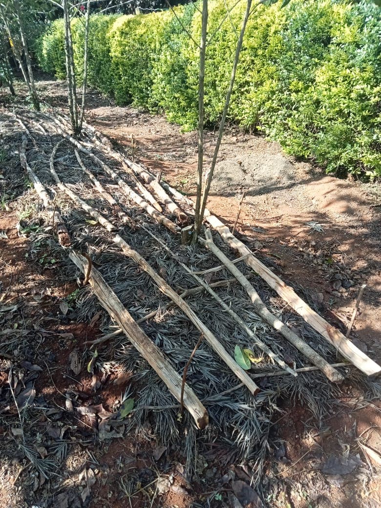 Soil management and mulching practices in the field